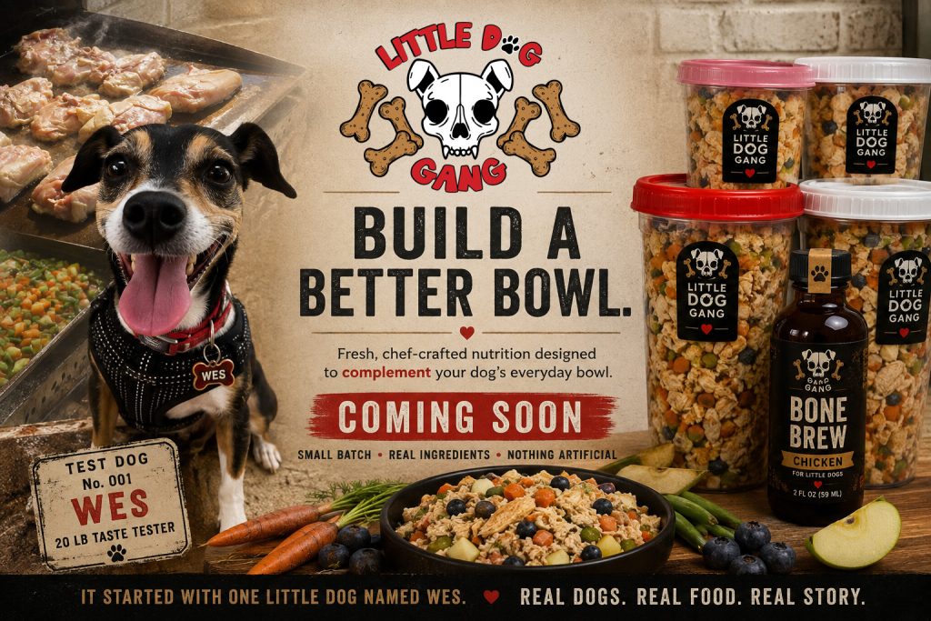 Little Dog Gang Coming Soon featuring Wes with fresh Chicken Garden Blend dog food topper and Bone Brew.